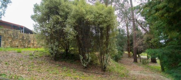 11 bedrooms House in Oliveira de Azemeis, Portugal No. 72051 42