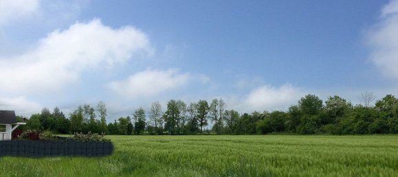  قطعة أرض في Taufkirchen an der Pram, Austria رقم 130770 3