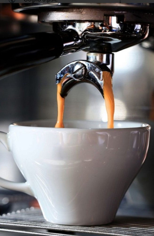 2-salle Propriété commerciale à Padua, Italy No. 131436