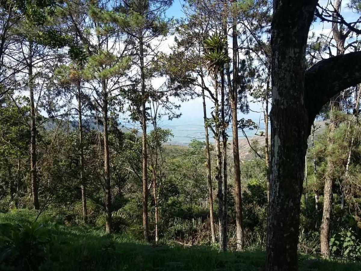 Casa T3 em Valle del Cauca, Colombia N.º 1274