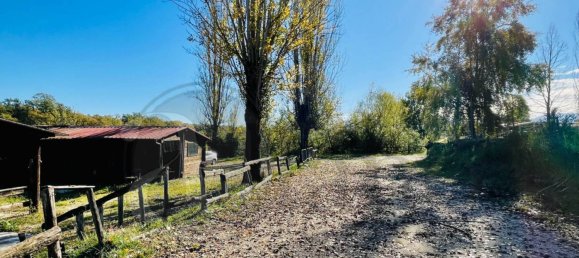 5 rooms Hotel in Arce, Italy No. 103313 24