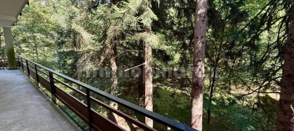 3 bedrooms Apartment in Malesco, Italy No. 338539 37