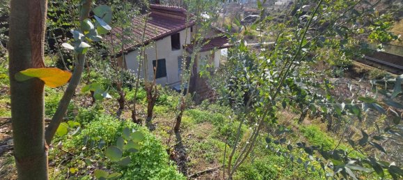 3 rooms House in Taggia, Italy No. 74387 4