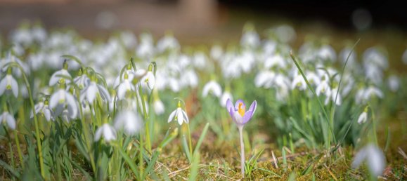 Adosado de 6 habitaciónes en Dachau, Germany No. 136243 27