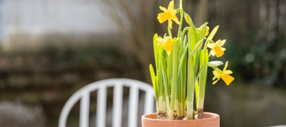 Adosado de 6 habitaciónes en Dachau, Germany No. 136243 8