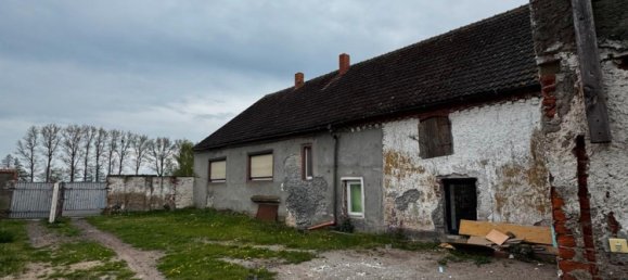 Дом с 6 комнатами в Йерихов, Германия № 261837 13