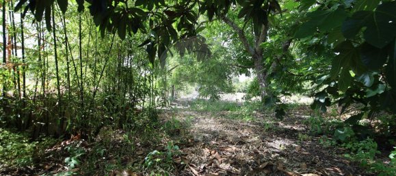 5 Schlafzimmer Haus in Abrantes, Portugal, Nr. 178862 36