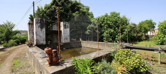 5 Schlafzimmer Haus in Abrantes, Portugal, Nr. 178862 34