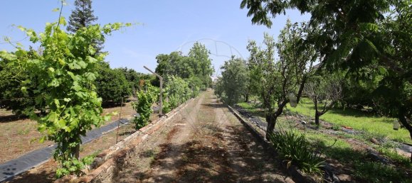 5 Schlafzimmer Haus in Abrantes, Portugal, Nr. 178862 29