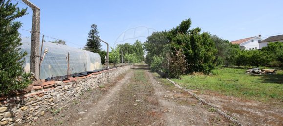 5 Schlafzimmer Haus in Abrantes, Portugal, Nr. 178862 28