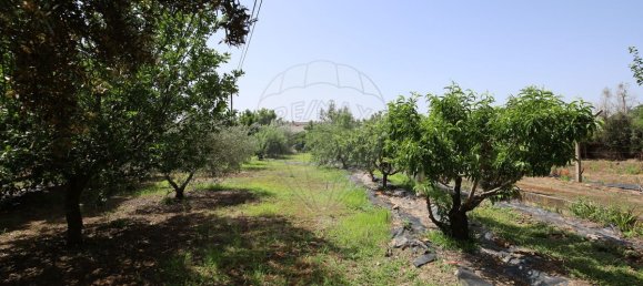 5 Schlafzimmer Haus in Abrantes, Portugal, Nr. 178862 38