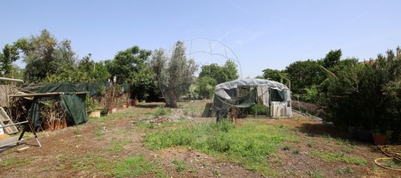 5 Schlafzimmer Haus in Abrantes, Portugal, Nr. 178862 44