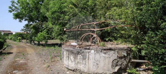 5 Schlafzimmer Haus in Abrantes, Portugal, Nr. 178862 31