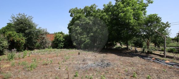 5 Schlafzimmer Haus in Abrantes, Portugal, Nr. 178862 40