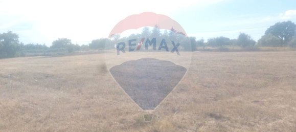 1 bedroom House in Penamacor, Portugal No. 77750 16