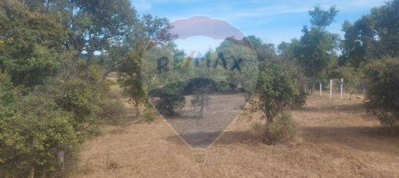 1 bedroom House in Penamacor, Portugal No. 77750 6