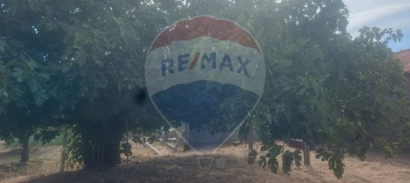 1 bedroom House in Penamacor, Portugal No. 77750 5