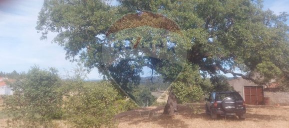 1 bedroom House in Penamacor, Portugal No. 77750 12