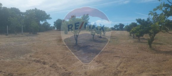 1 bedroom House in Penamacor, Portugal No. 77750 10