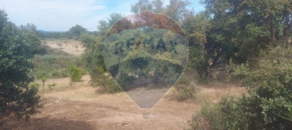 1 bedroom House in Penamacor, Portugal No. 77750 7