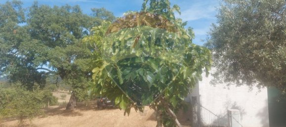 1 bedroom House in Penamacor, Portugal No. 77750 11