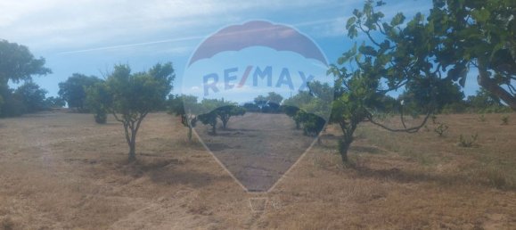 1 bedroom House in Penamacor, Portugal No. 77750 9