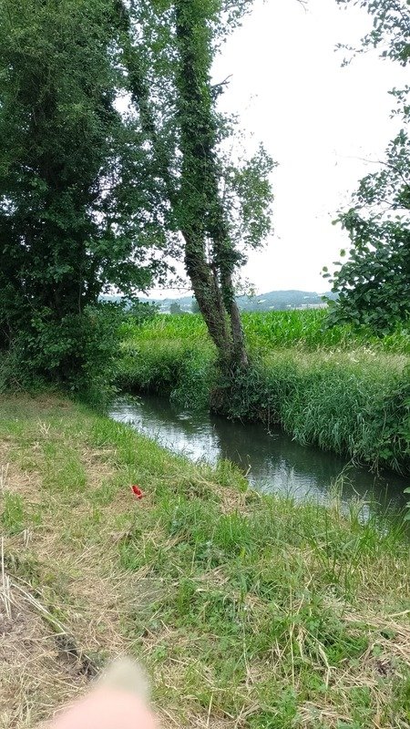  Land in Mondavezan, France No. 117745