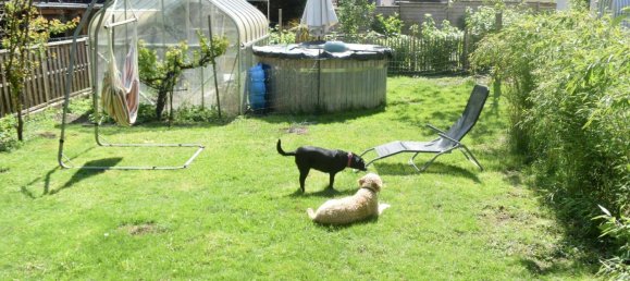 5-Zimmer Wohnung in Waidhofen an der Ybbs, Austria, Nr. 181430 5