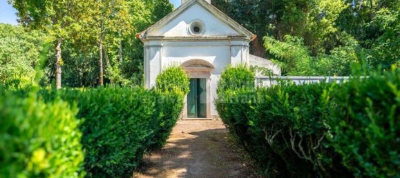 9 bedrooms House in Borba, Portugal No. 125258 4