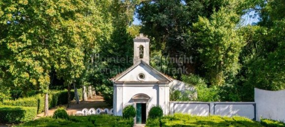 9 bedrooms House in Borba, Portugal No. 125258 6