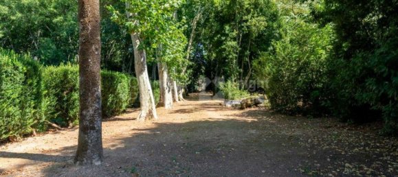 9 bedrooms House in Borba, Portugal No. 125258 13