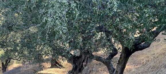  Hotel in Zakynthos, Greece No. 576 7