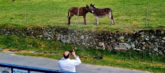 3 Schlafzimmer Villa in Vieira do Minho, Portugal, Nr. 190043 12