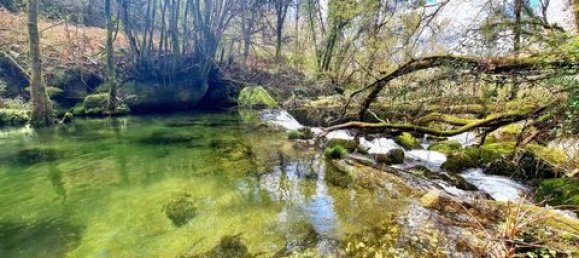 3 Schlafzimmer Villa in Vieira do Minho, Portugal, Nr. 190043 39