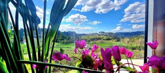 3 Schlafzimmer Villa in Vieira do Minho, Portugal, Nr. 190043 6