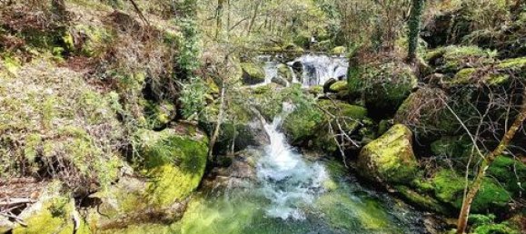 3 Schlafzimmer Villa in Vieira do Minho, Portugal, Nr. 190043 38