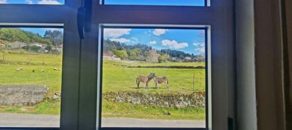 3 Schlafzimmer Villa in Vieira do Minho, Portugal, Nr. 190043 13