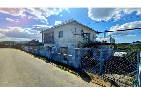 3 Schlafzimmer Villa in Vieira do Minho, Portugal, Nr. 190043