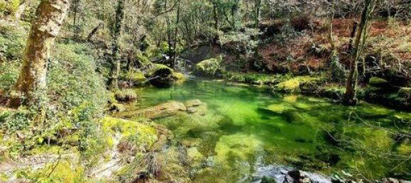 3 Schlafzimmer Villa in Vieira do Minho, Portugal, Nr. 190043 30