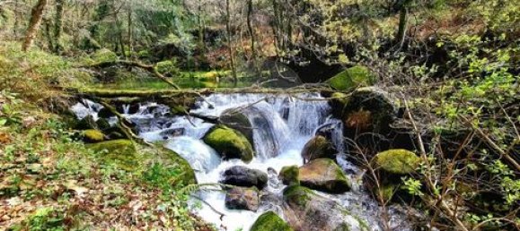 3 Schlafzimmer Villa in Vieira do Minho, Portugal, Nr. 190043 5