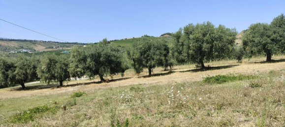 7610m² Land in Acquaviva Picena, Italy No. 309762 20