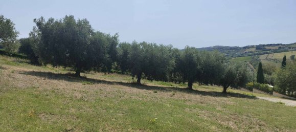 7610m² Land in Acquaviva Picena, Italy No. 309762 9