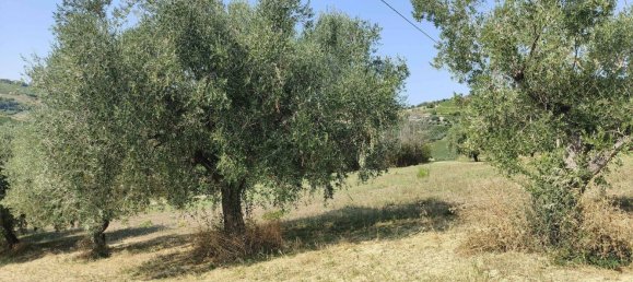 7610m² Land in Acquaviva Picena, Italy No. 309762 16
