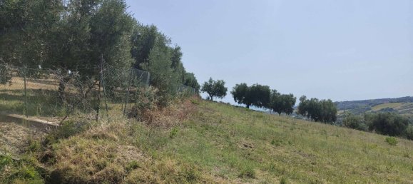 7610m² Land in Acquaviva Picena, Italy No. 309762 25