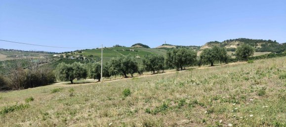 7610m² Land in Acquaviva Picena, Italy No. 309762 18