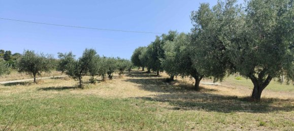 7610m² Land in Acquaviva Picena, Italy No. 309762 2
