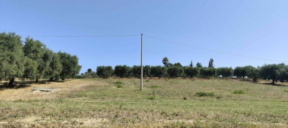 7610m² Land in Acquaviva Picena, Italy No. 309762 4