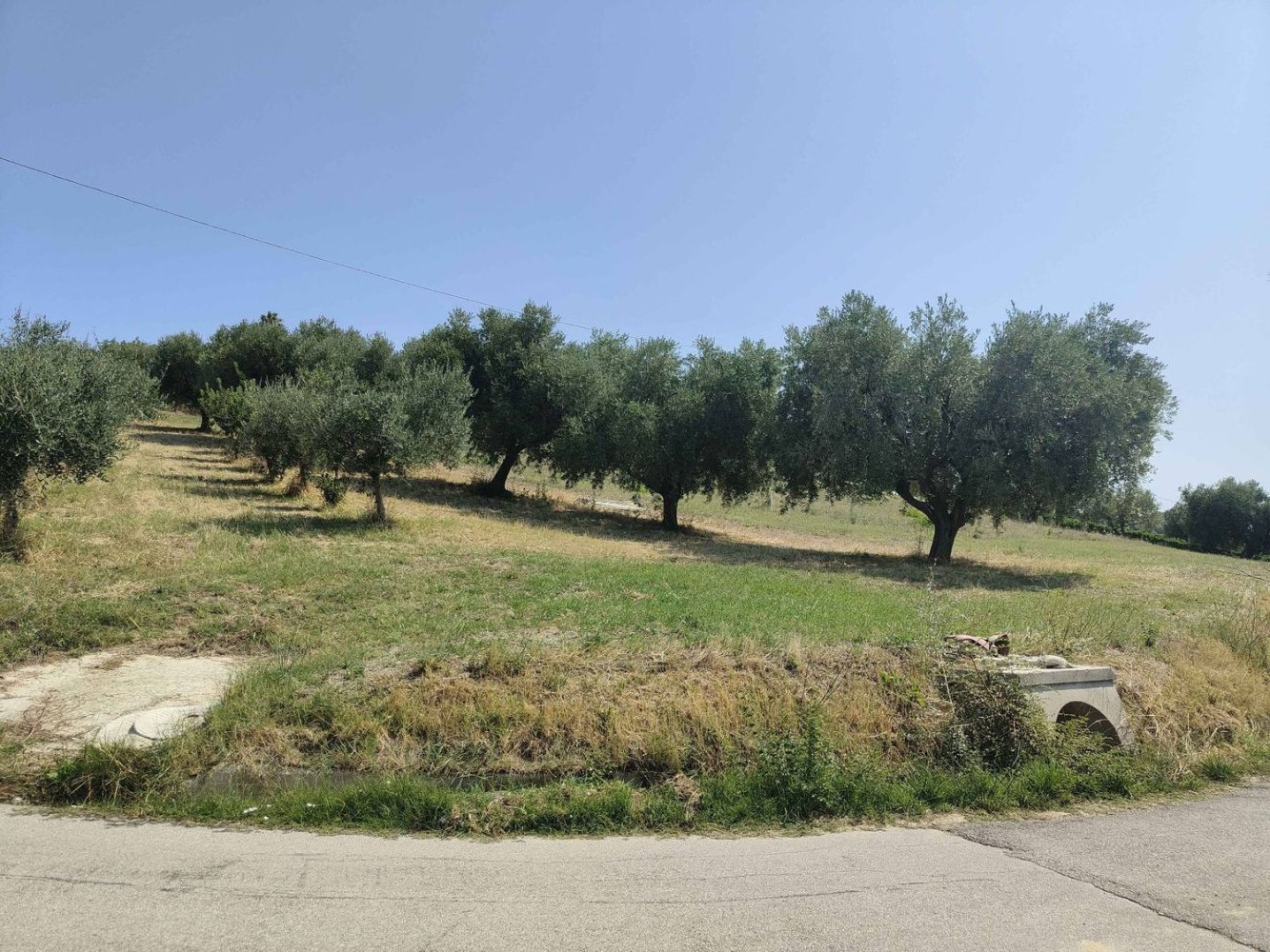 7610m² Land in Acquaviva Picena, Italy No. 309762