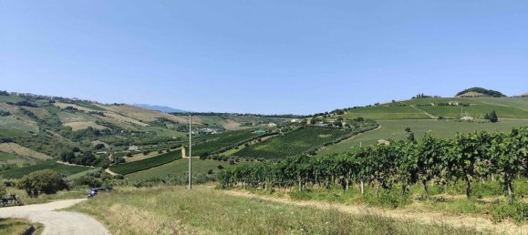 7610m² Land in Acquaviva Picena, Italy No. 309762 26