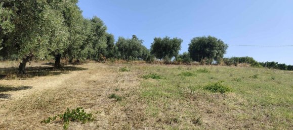 7610m² Land in Acquaviva Picena, Italy No. 309762 15